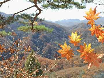 西宁打胎药在线购买电话七个月胎儿吃打胎药（7个月打胎药）